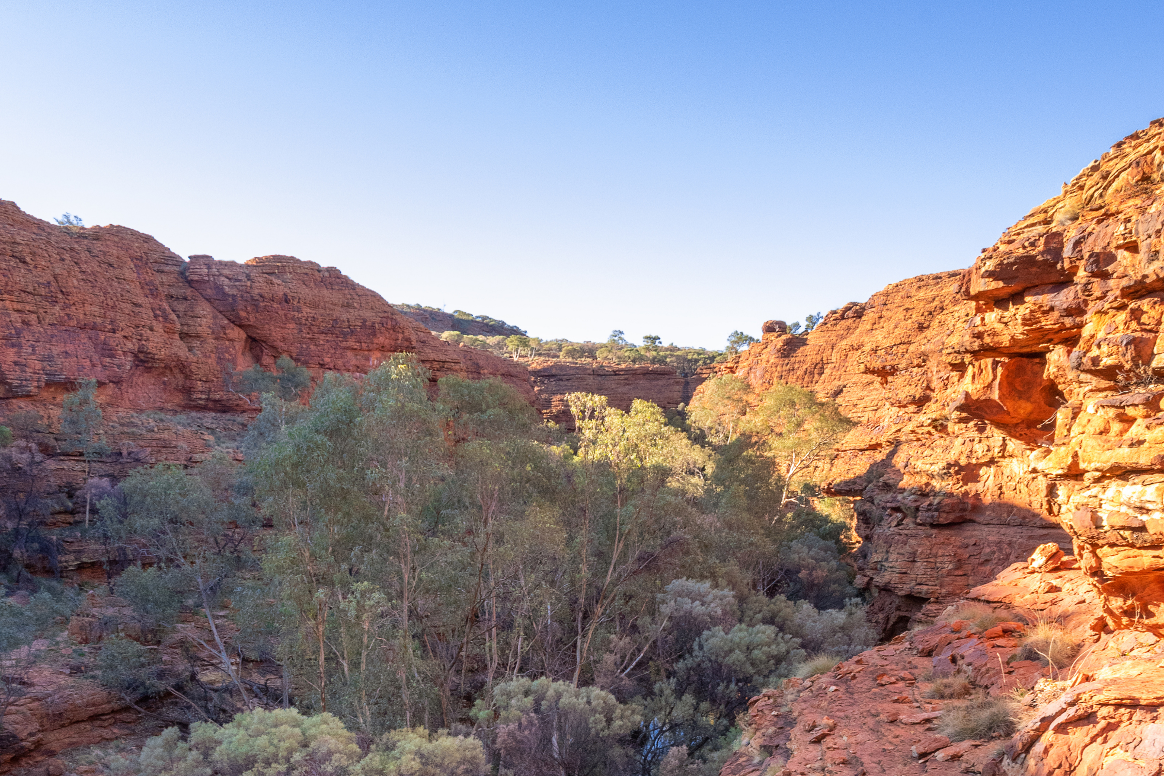 kings canyon, northern territory (3).webp